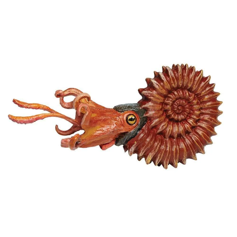 Safari Ltd. Ammonite