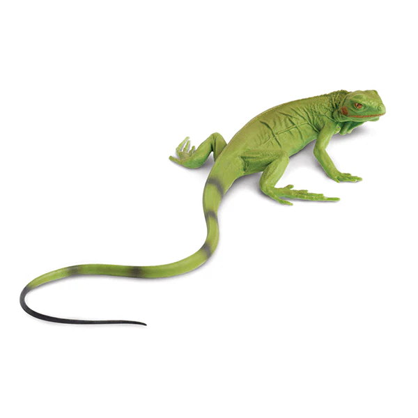 Safari Ltd. Baby Iguana