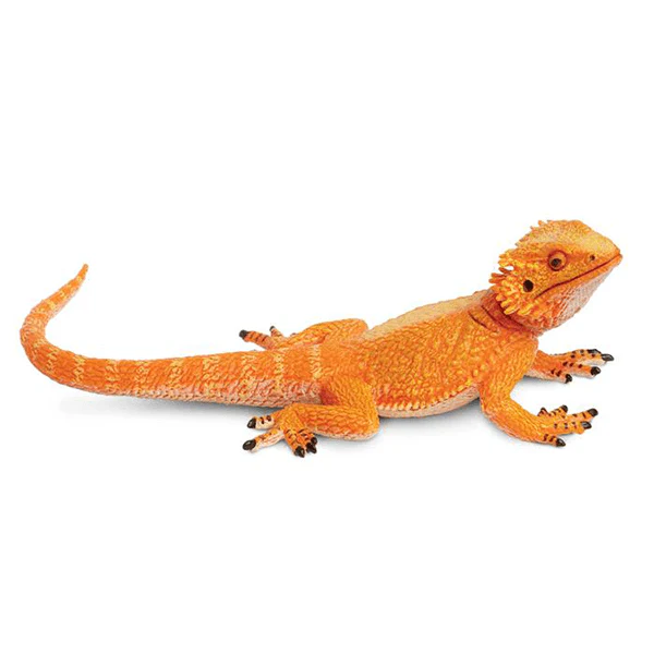 Safari Ltd. Bearded Dragon