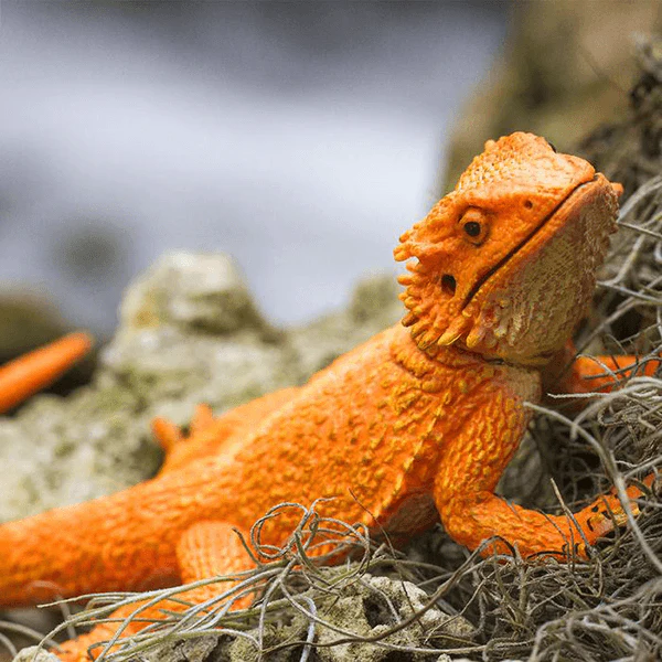 Safari Ltd. Bearded Dragon - Image 2