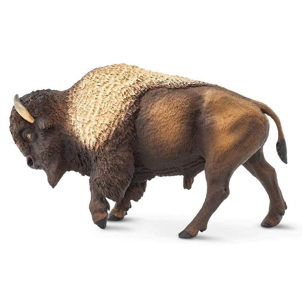 Safari Ltd. Bison