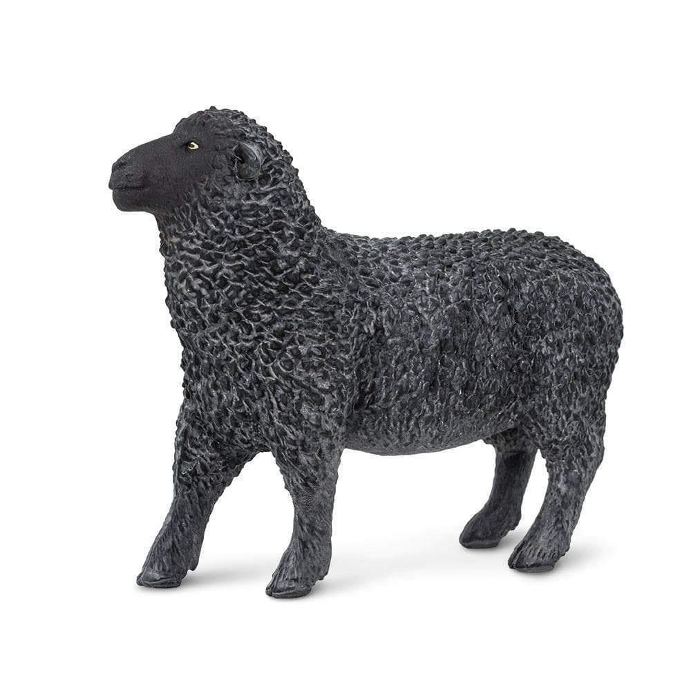 Safari Ltd. Black Sheep