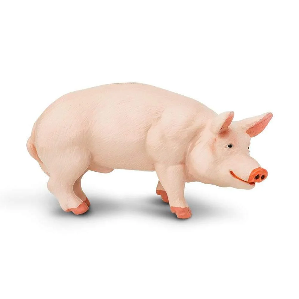 Safari Ltd. Boar