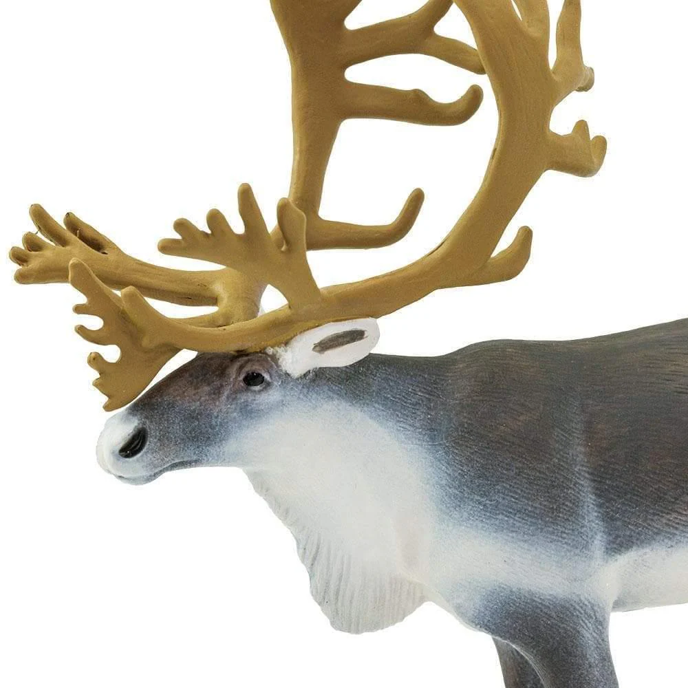 Safari Ltd. Caribou - Image 2