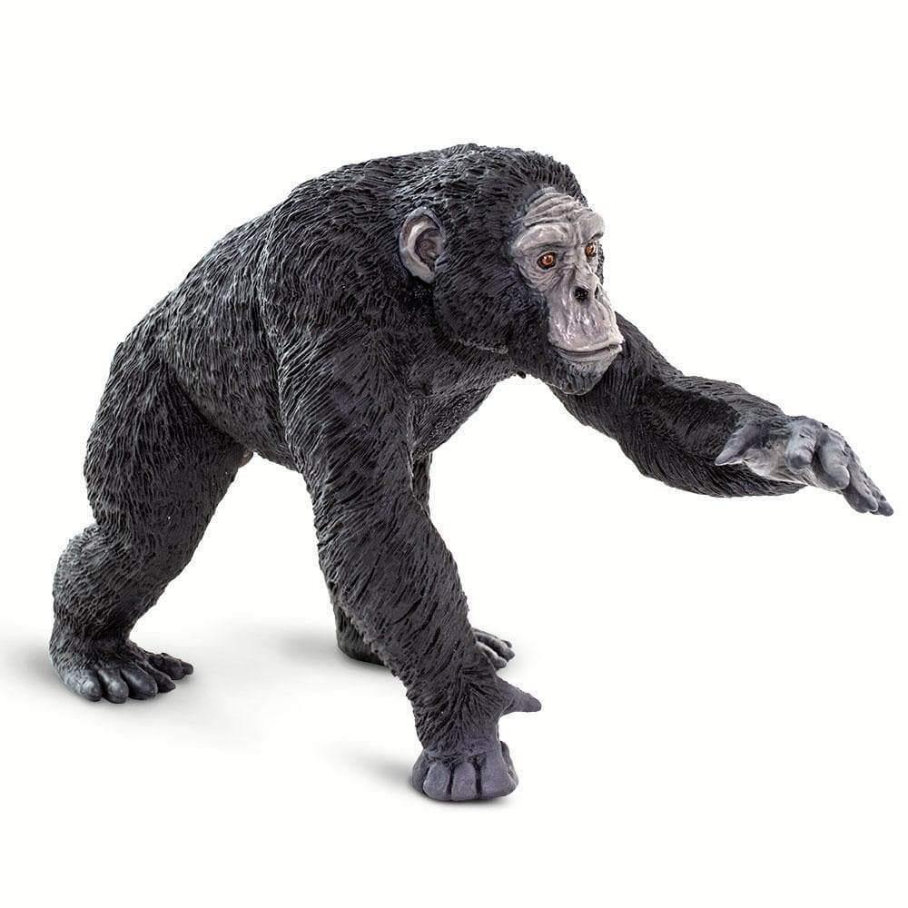 Safari Ltd. Chimpanzee