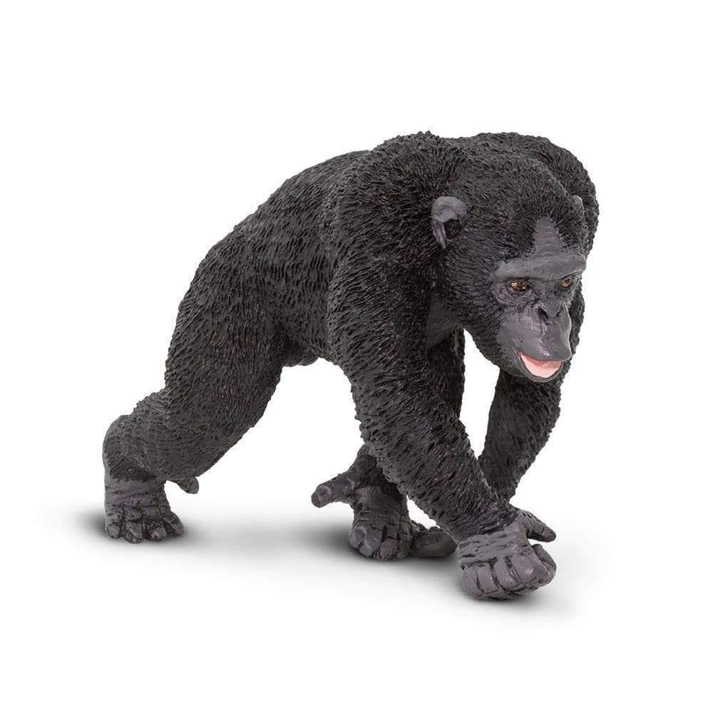 Safari Ltd. Chimpanzee