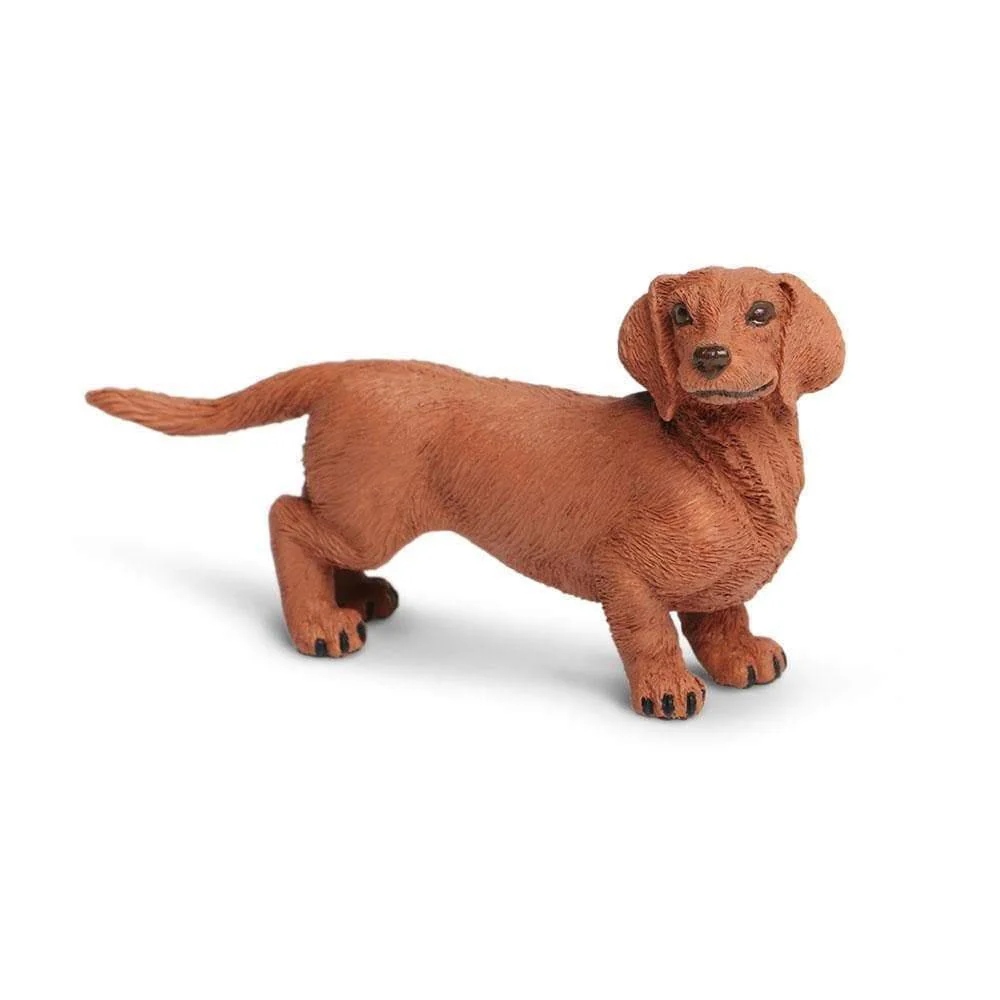 Safari Ltd. Dachshund