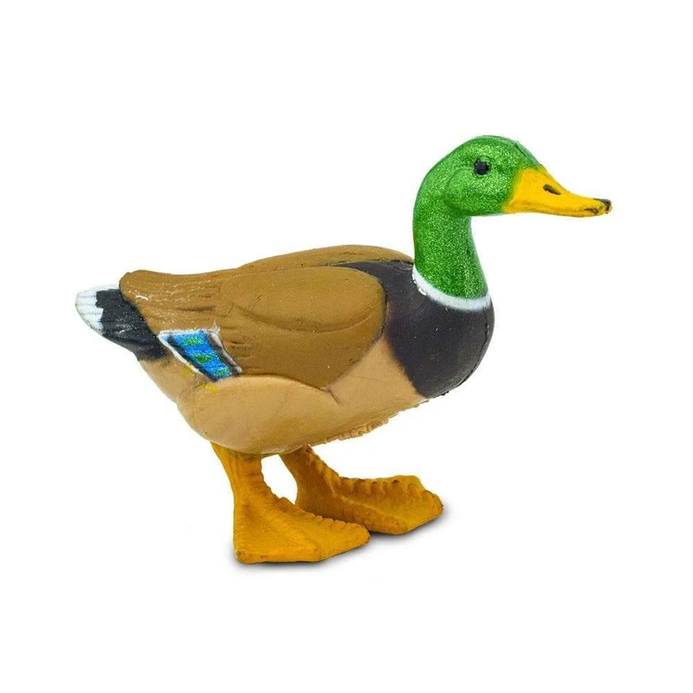 Safari Ltd. Duck - Image 2