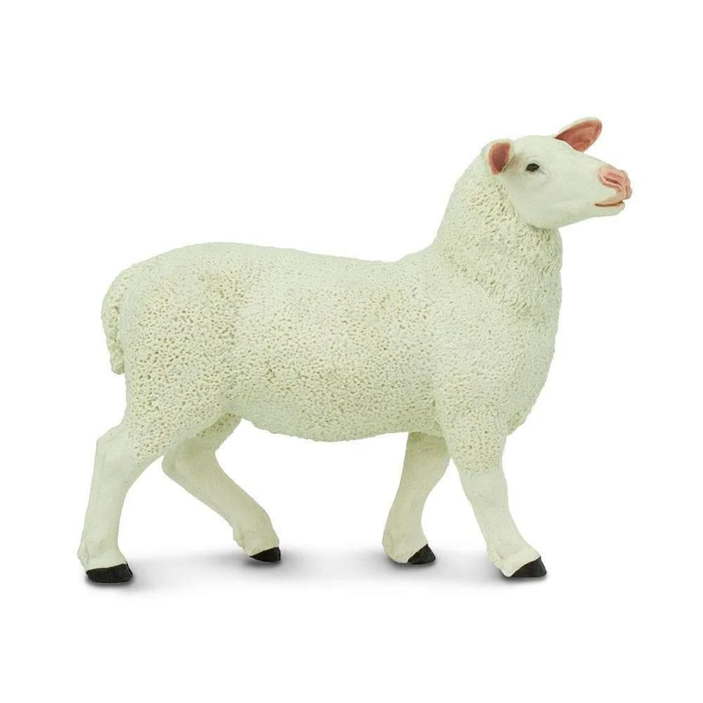 Safari Ltd. Ewe