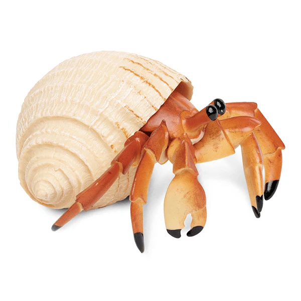 Safari Ltd. Hermit Crab