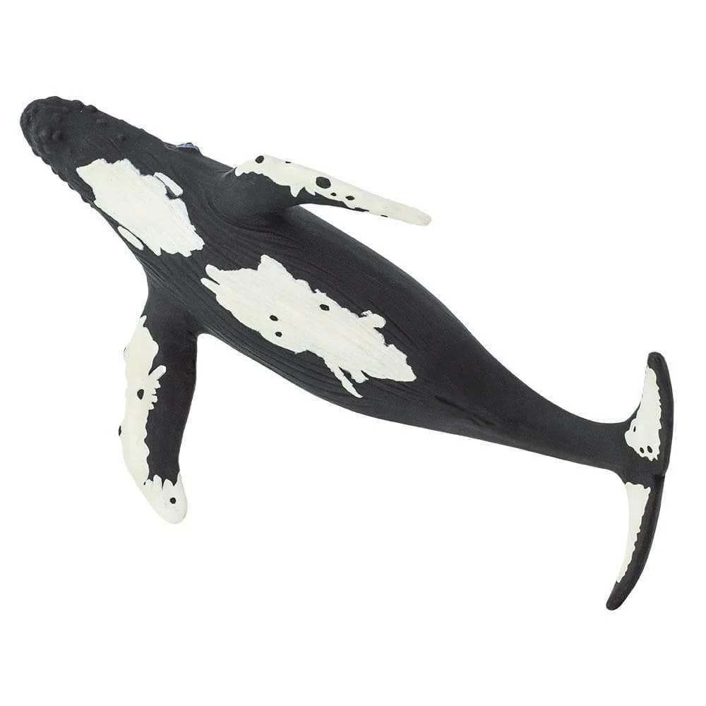 Safari Ltd. Humpback Whale - Image 2