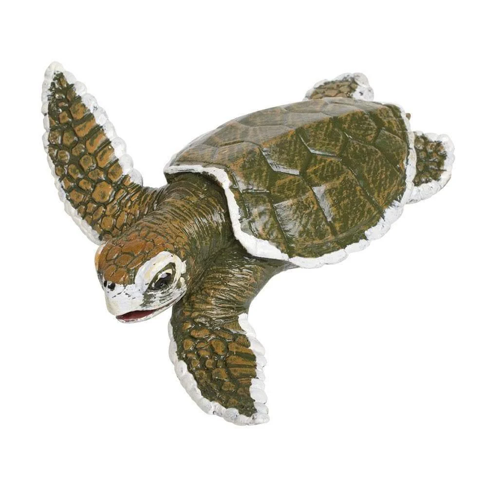 Safari Ltd. Kemp's Ridley Sea Turtle Baby
