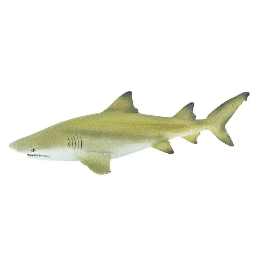 Safari Ltd. Lemon Shark - Image 2
