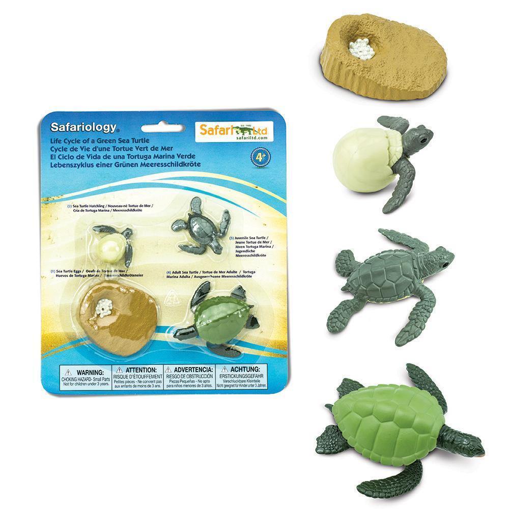 Safari Ltd. Life Cycle of a Green Sea Turtle - Image 2