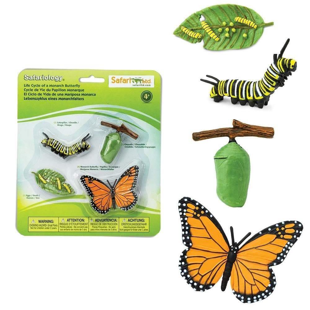 Safari Ltd. Life Cycle of a Monarch Butterfly - Image 2