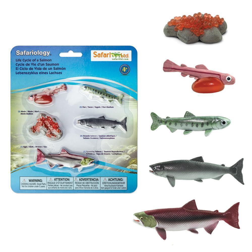 Safari Ltd. Life Cycle of a Salmon - Image 2