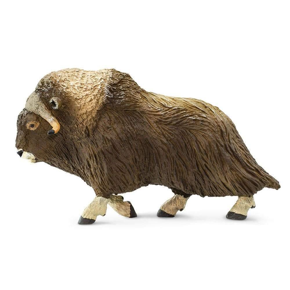 Safari Ltd. Muskox