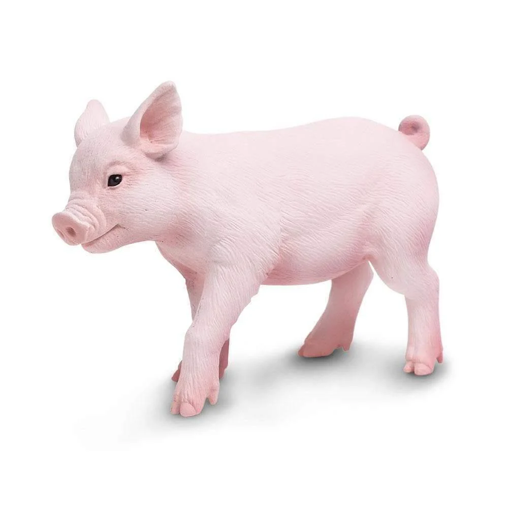 Safari Ltd. Piglet