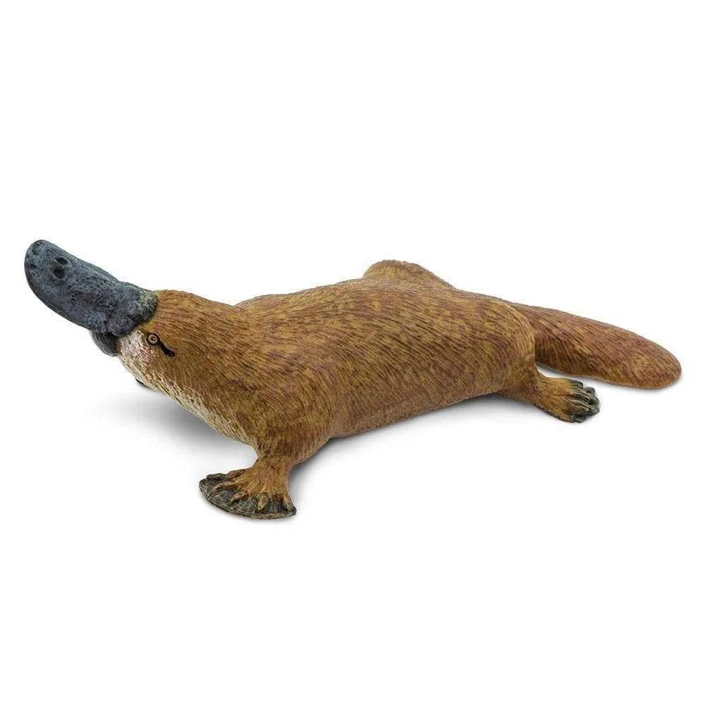 Safari Ltd. Platypus