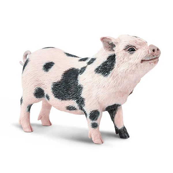 Safari Ltd. Pot-Bellied Pig