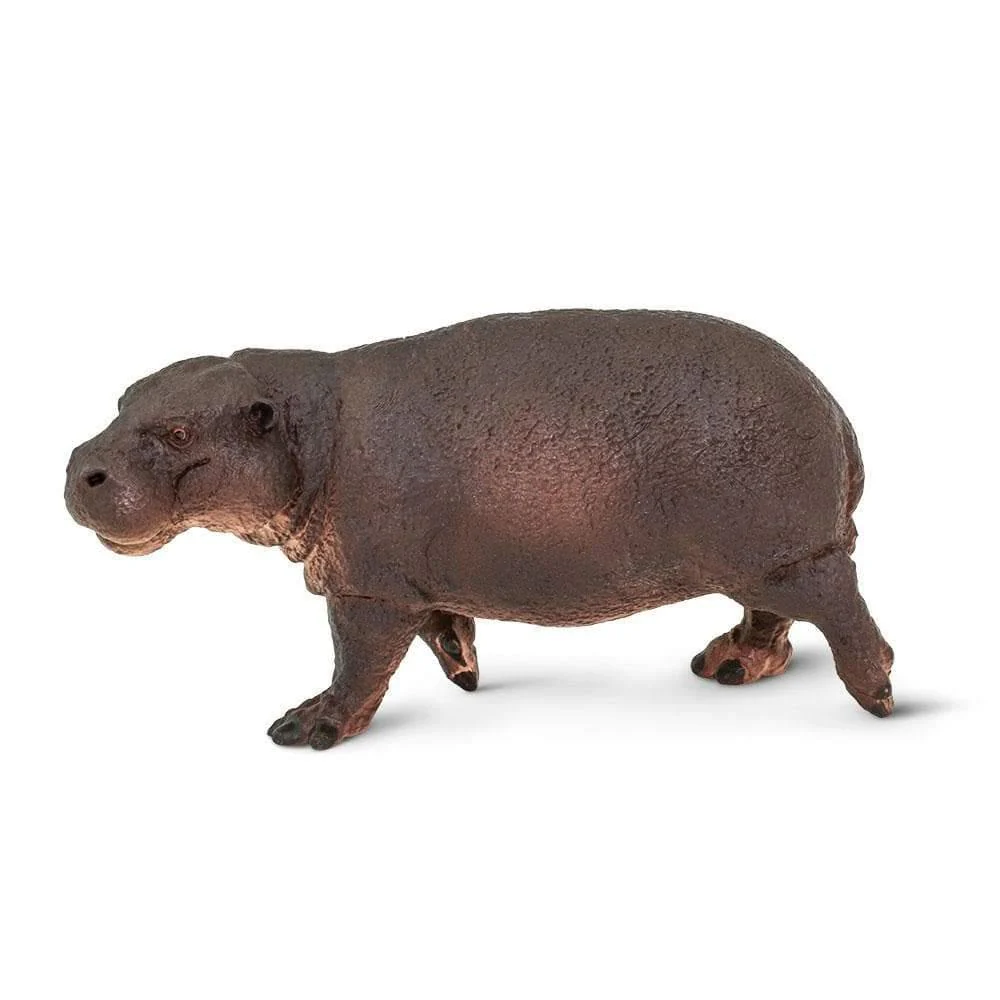 Safari Ltd. Pygmy Hippo