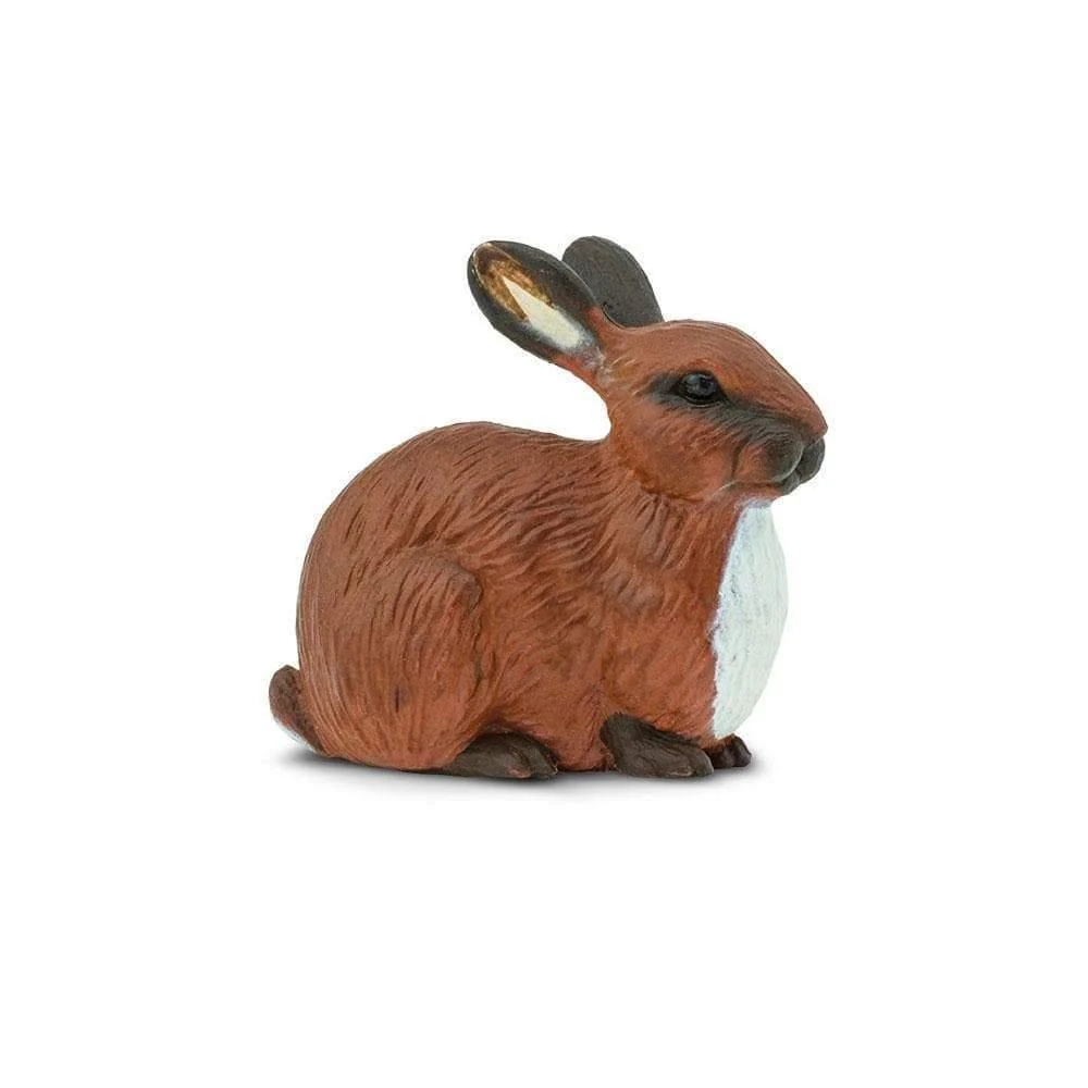 Safari Ltd. Rabbit