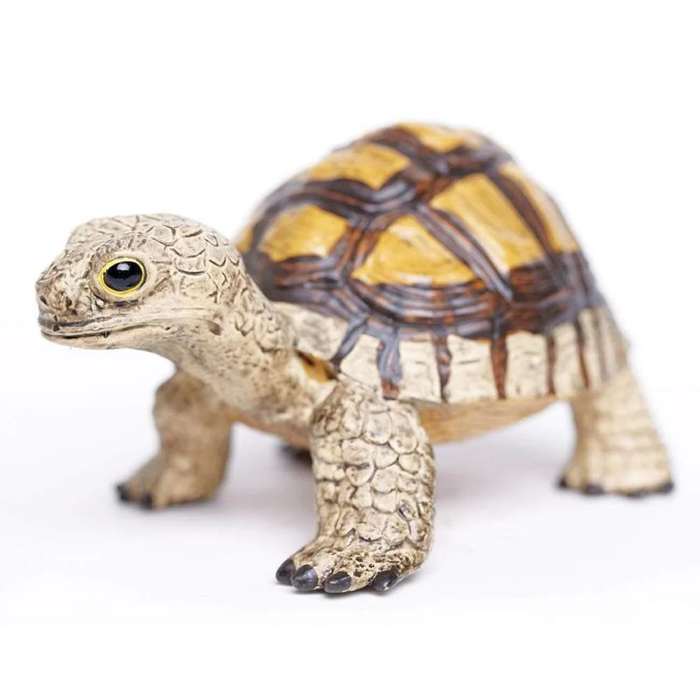 Safari Ltd. Tortoise