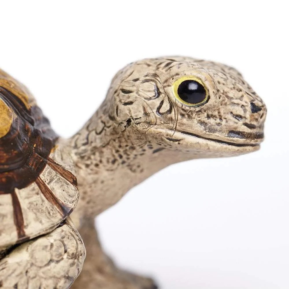 Safari Ltd. Tortoise - Image 2