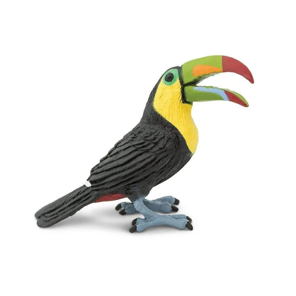 Safari Ltd. Toucan