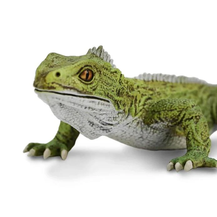 Safari Ltd. Tuatara - Image 5