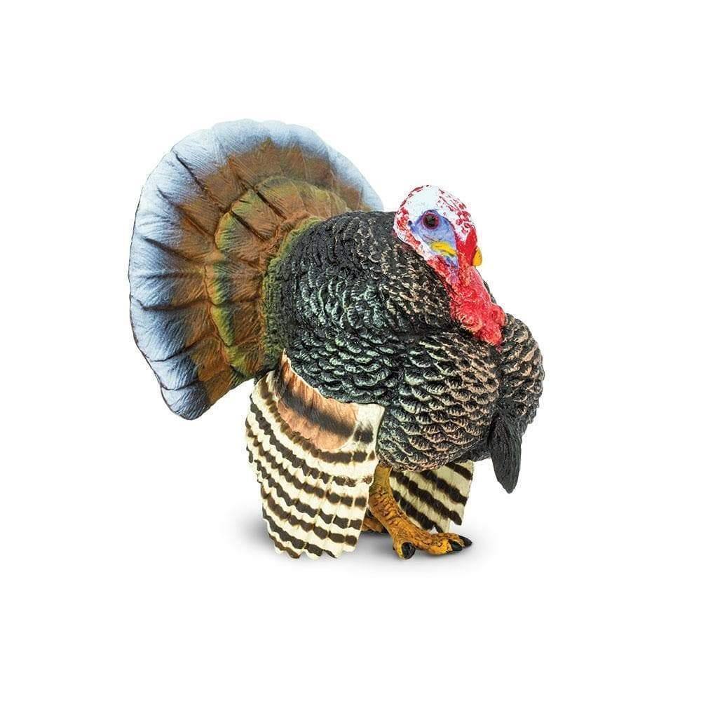 Safari Ltd. Turkey