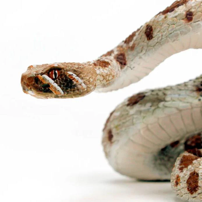 Safari Ltd. Western Diamondback Rattlesnake - Image 6