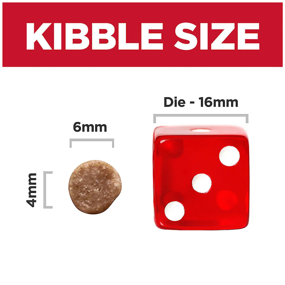 Hill's Science Diet Kitten Food - Image 3