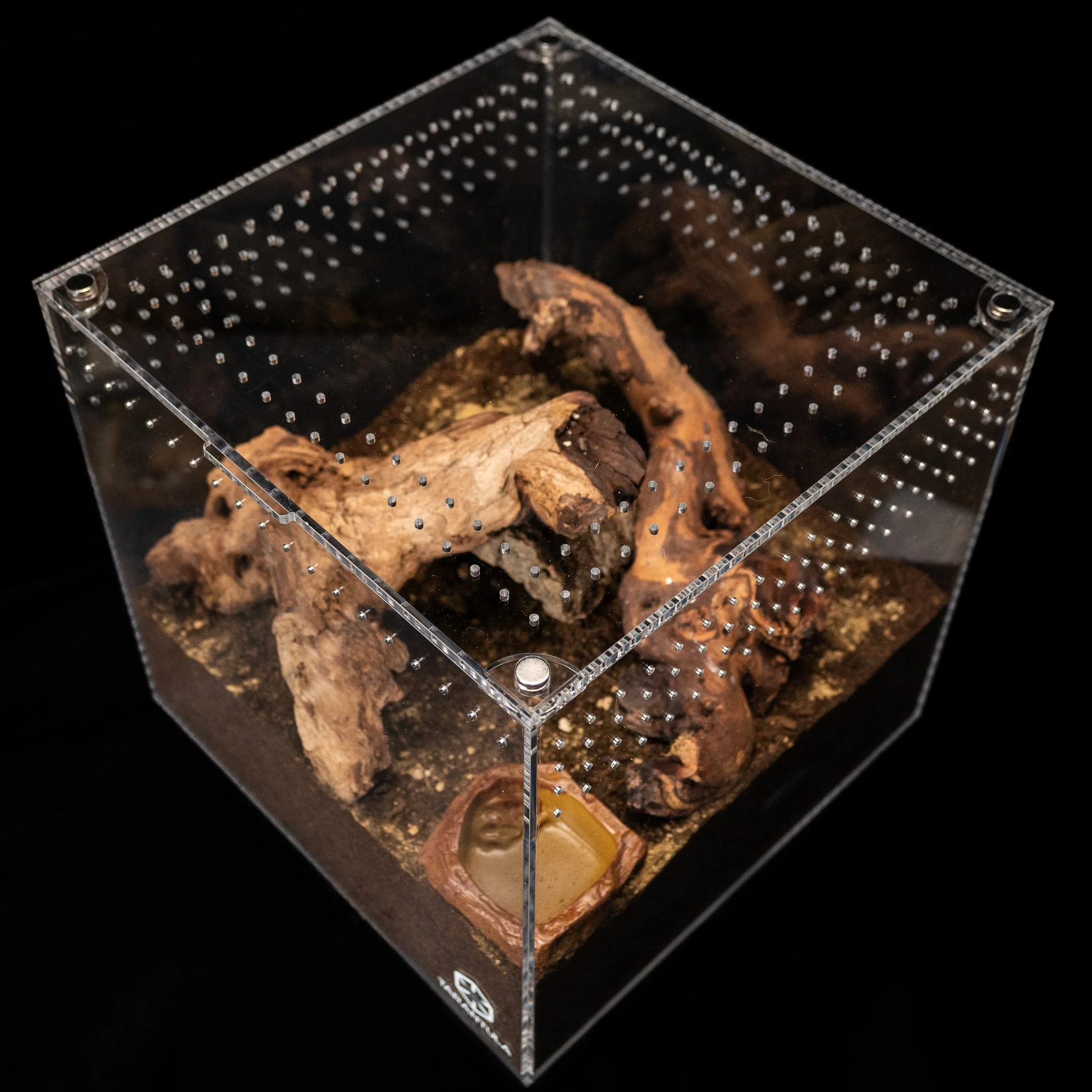 Tarantula Cribs 12" Tarantula Cube - Image 3
