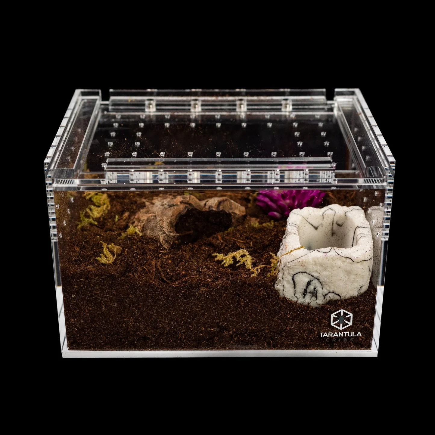 Tarantula Cribs Small Slider Crib - Image 2