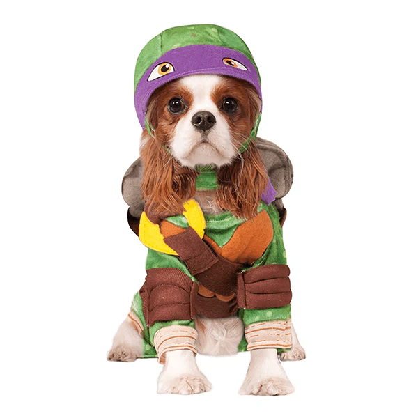 Teenage Mutant Ninja Turtles Donatello - Small