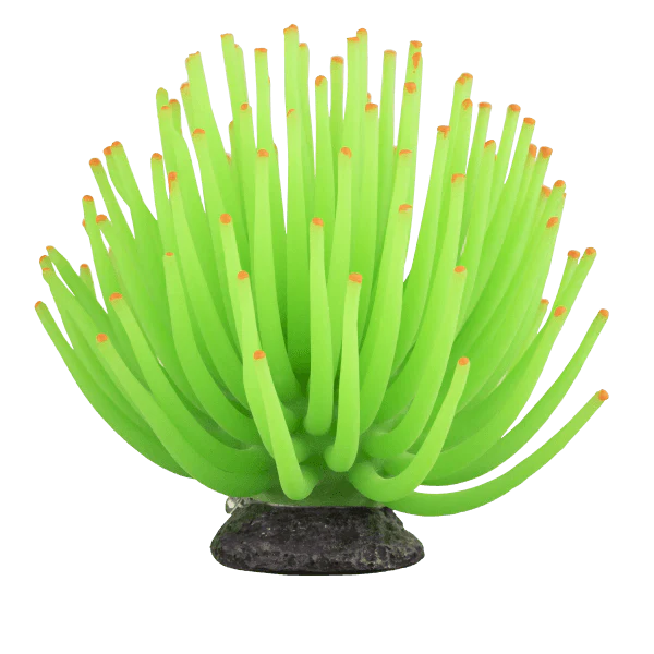 Tetra GloFish Anemone - Image 2