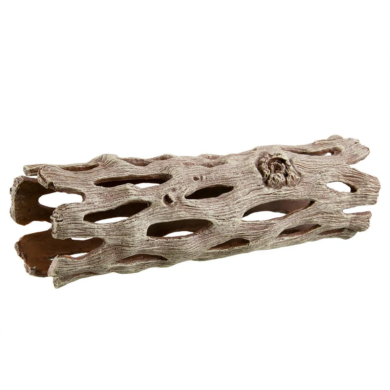 Underwater Treasures Cholla Wood - Image 3
