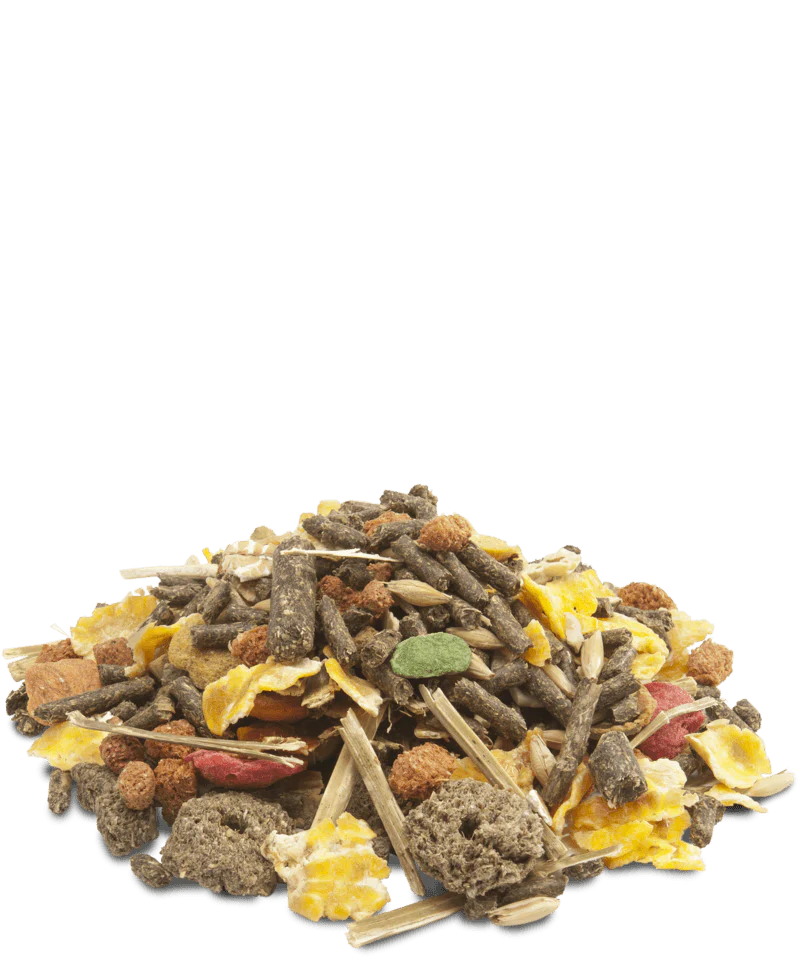 Versele-Laga Crispy Muesli Guinea Pig - 2.75kg - Image 2