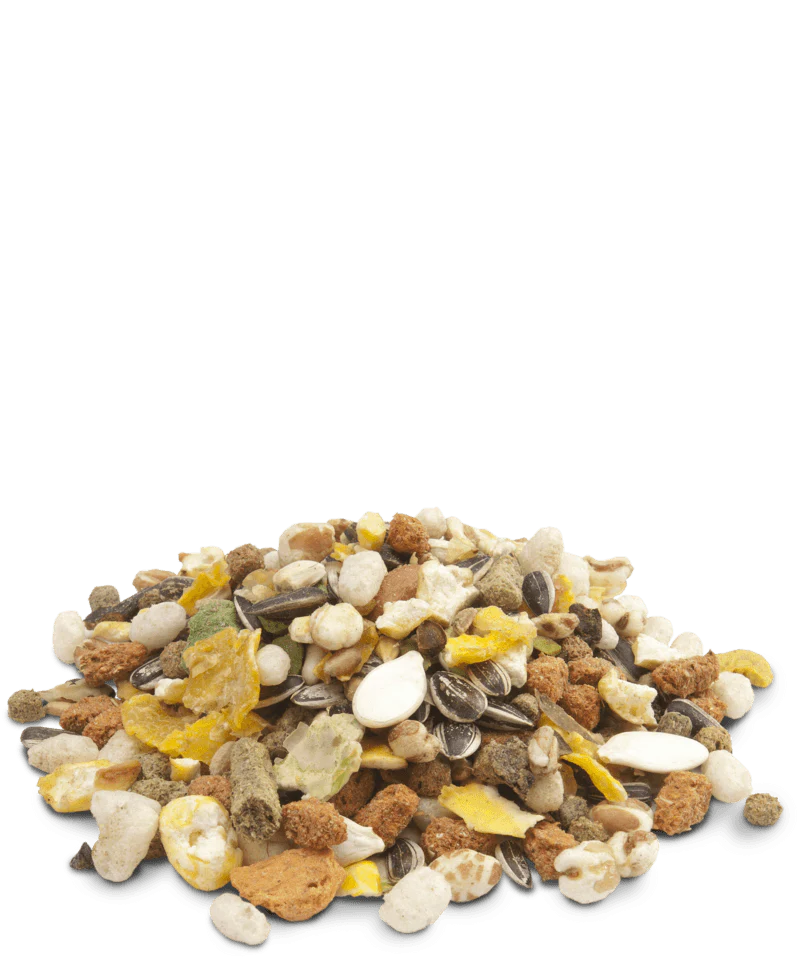 Versele-Laga Crispy Muesli - Hamsters & Co 1kg - Image 2