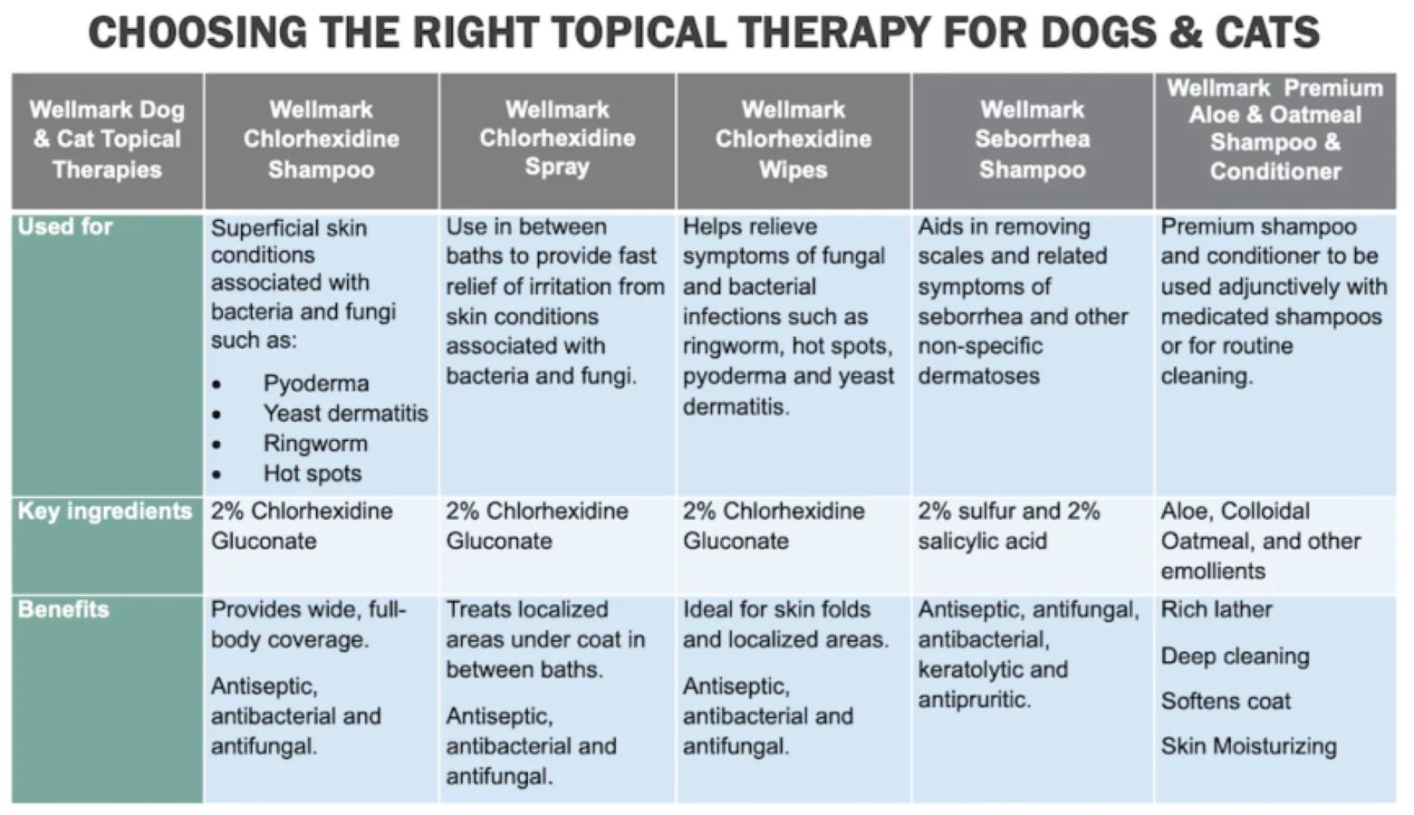 Wellmark Chlorhexidine Spray 237ml - Image 4