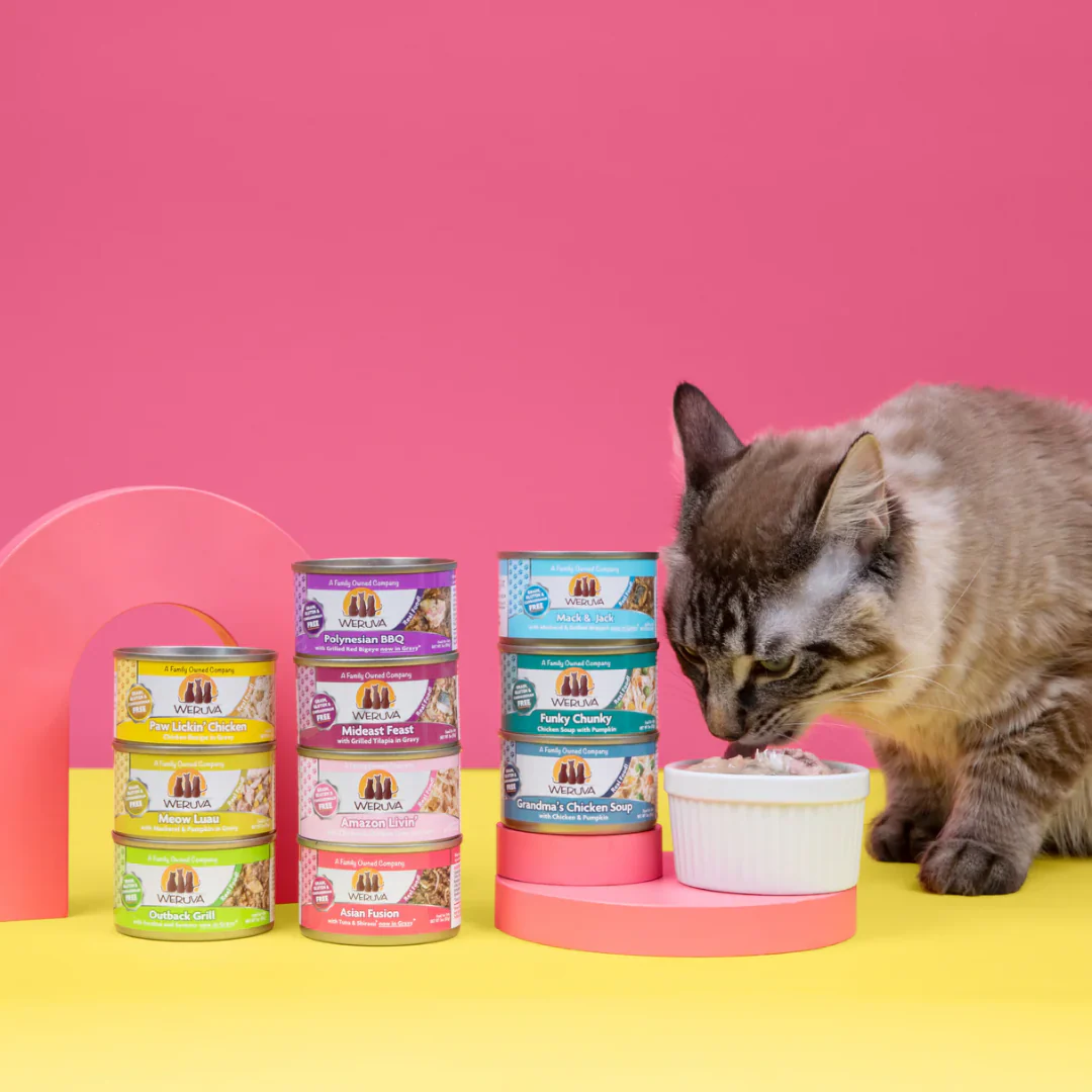 Weruva Classic Amazon Livin' Wet Cat Food 156g - Image 5