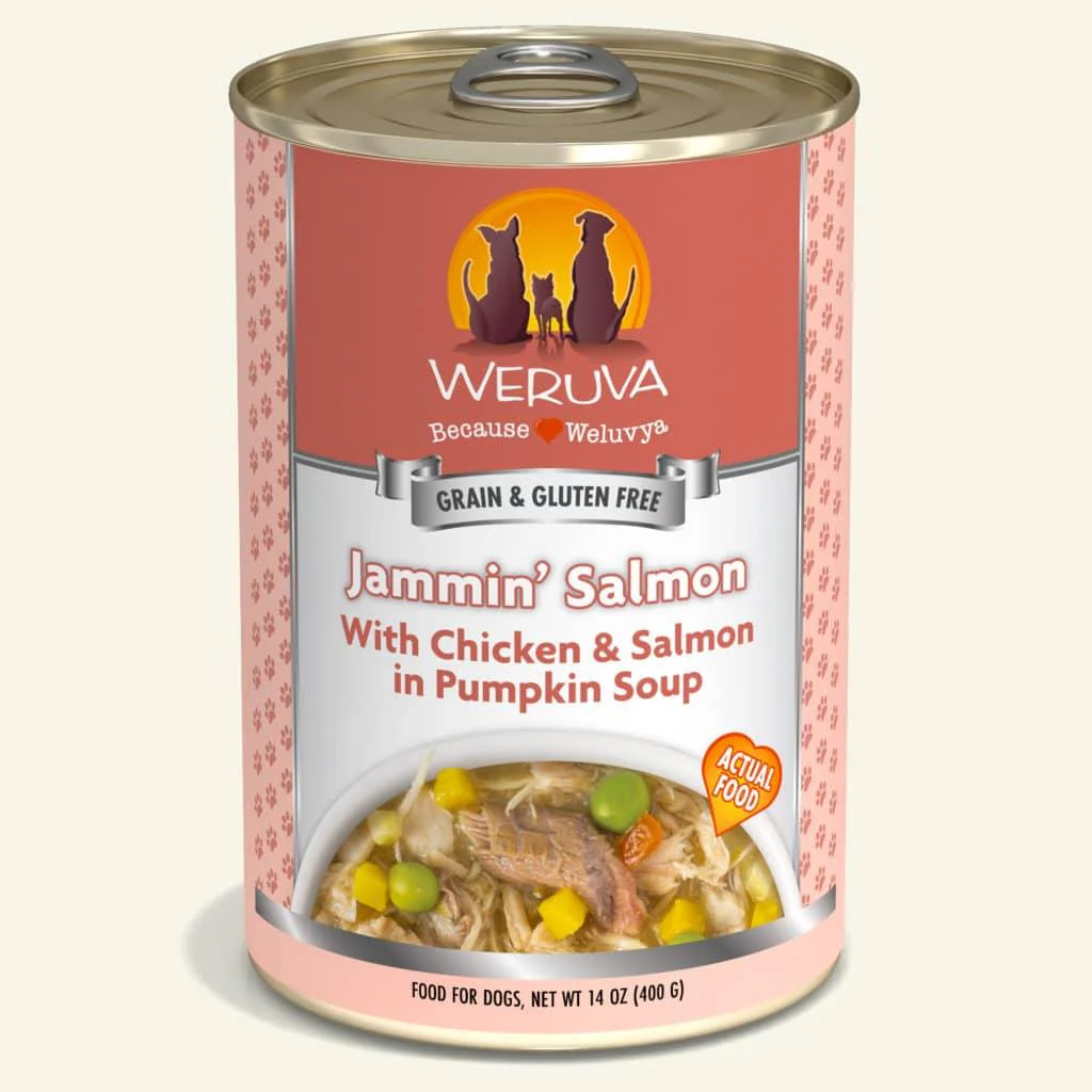 Weruva Jammin' Salmon Chicken & Salmon in Pumpkin Soup 400 g