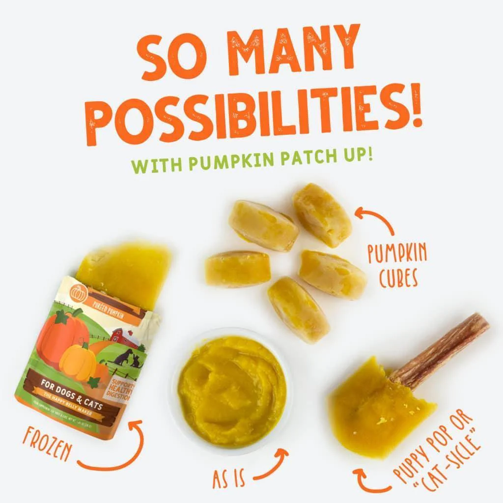 Weruva Pumpkin Patch Up - Coconut Oil & Flaxseed - Image 4