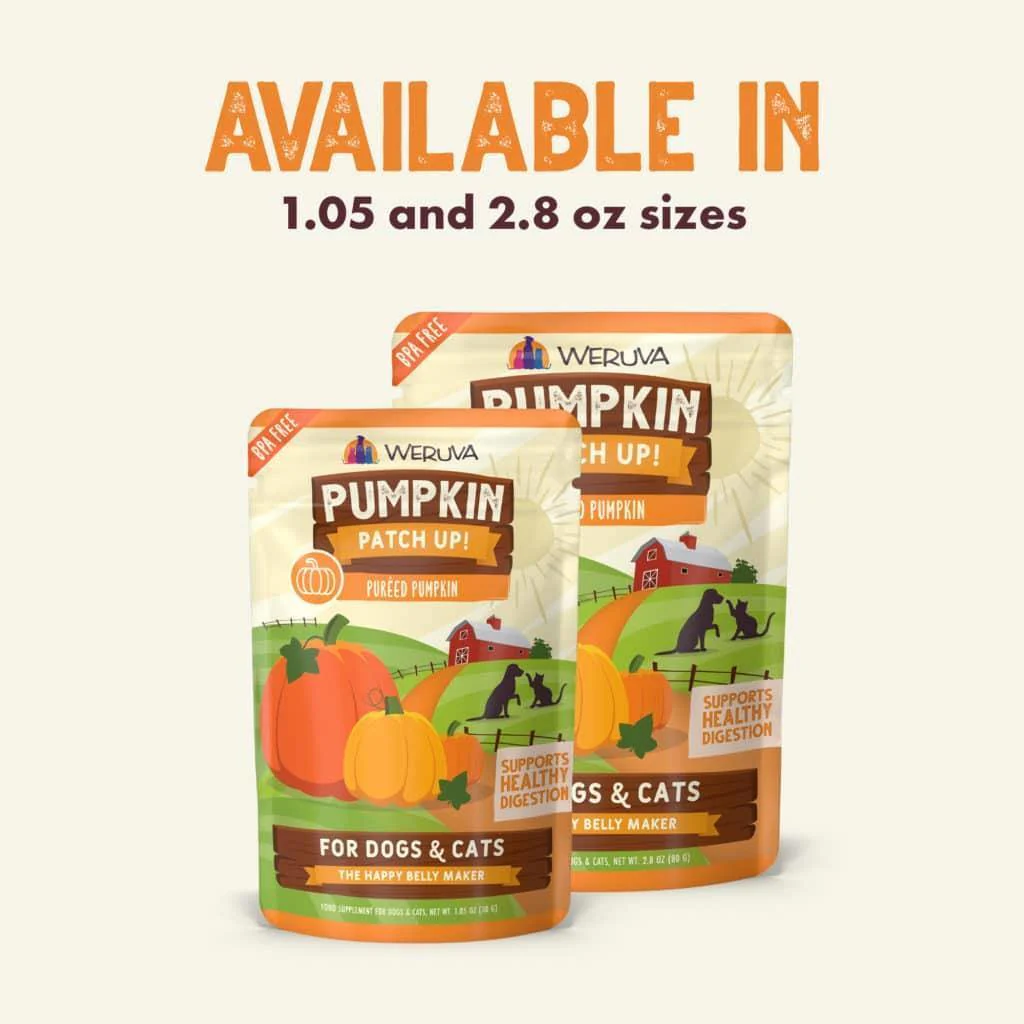 Weruva Pumpkin Patch Up - Pumpkin - Image 3