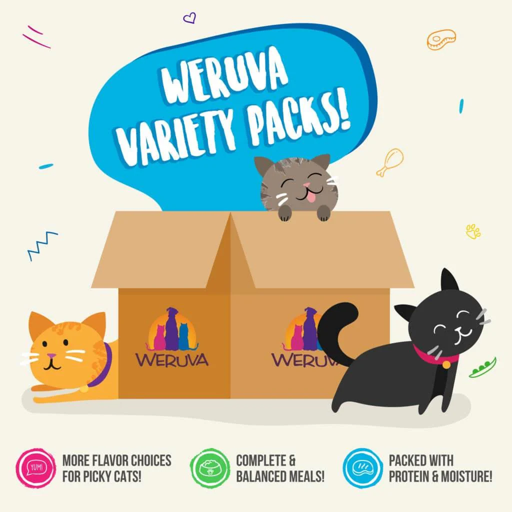 Weruva Rudi's Recipes Variety Pack 156g - Image 4