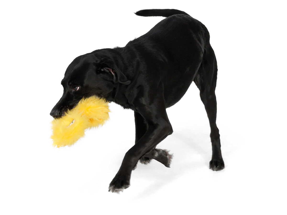 West Paw Rowdies - Geraldine - Image 4
