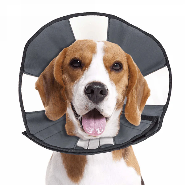 ZenPet Zen Cone - Medium