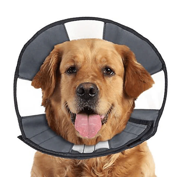 ZenPet Zen Cone - X-Large