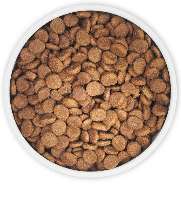 Zignature Select Cuts Turkey Formula Dog Food - Image 2